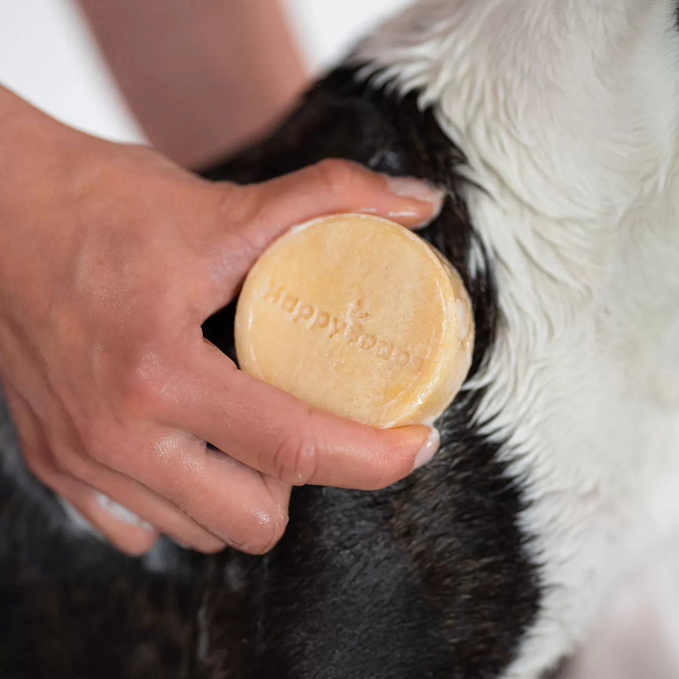 Dog Shampoo Bar - Kort pls