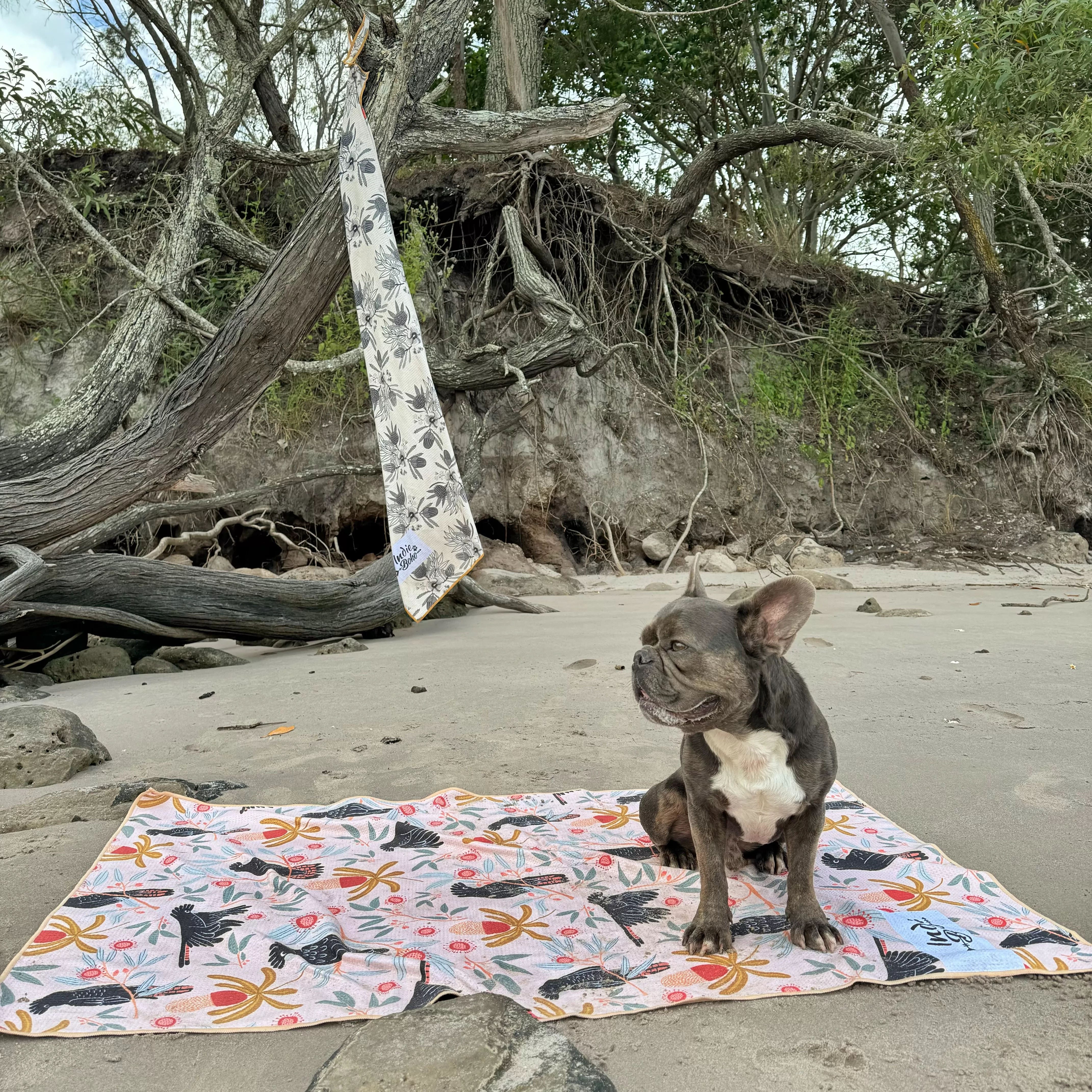 Sunset Cockatoo Dog Travel and Bath Towel